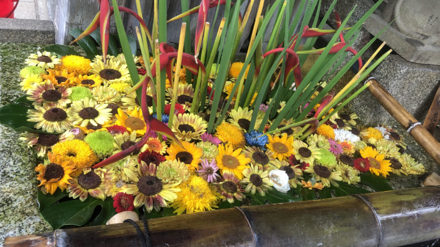 7月の和歌山の車庫証明代行は補正からスタート